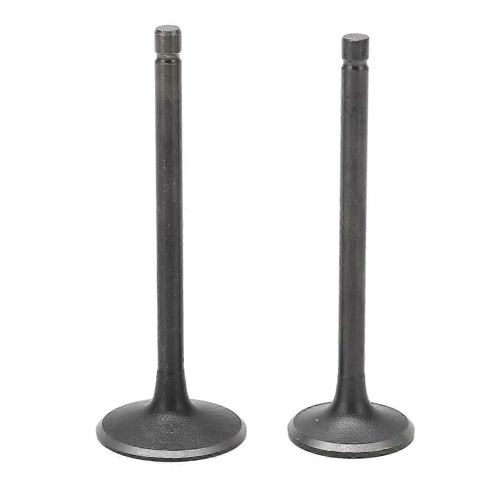 Exhaust Intake Valve Kit Black Exhaust Intake Valve Set Replacement for XG250 TRICKER 2004?2017