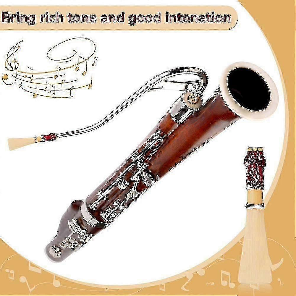 5 قطع من قصب الباسون مع 1 علبة واقية من قصب الباسون ريد متوسط النعومة الباسون ريد الحالة H SZRH A-S