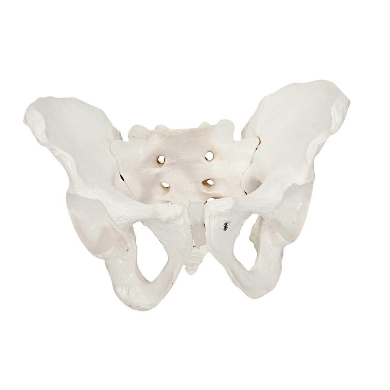 Missing product title for infringement check Ref: 2236