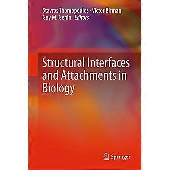 Structural interfaces and attachments in biology