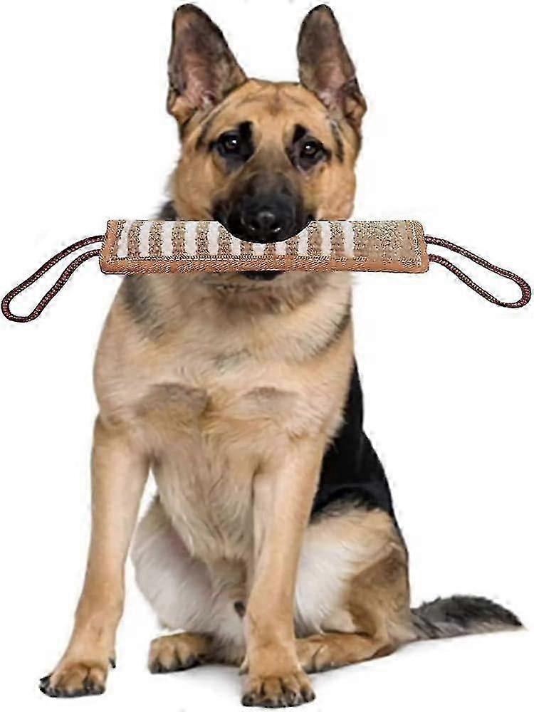 Double-Stitched Jute Tug Toy