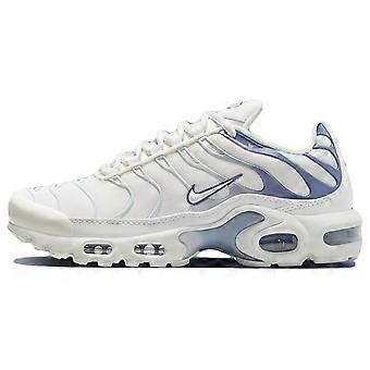 Nike Air Max Plus Ashen Slate Women's DZ3671-104