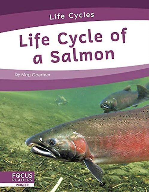 Life Cycle Of A Salmon by Meg Gaertner Paperback