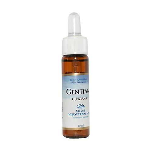 FM Gentian (Gentian) 10 ml of floral elixir