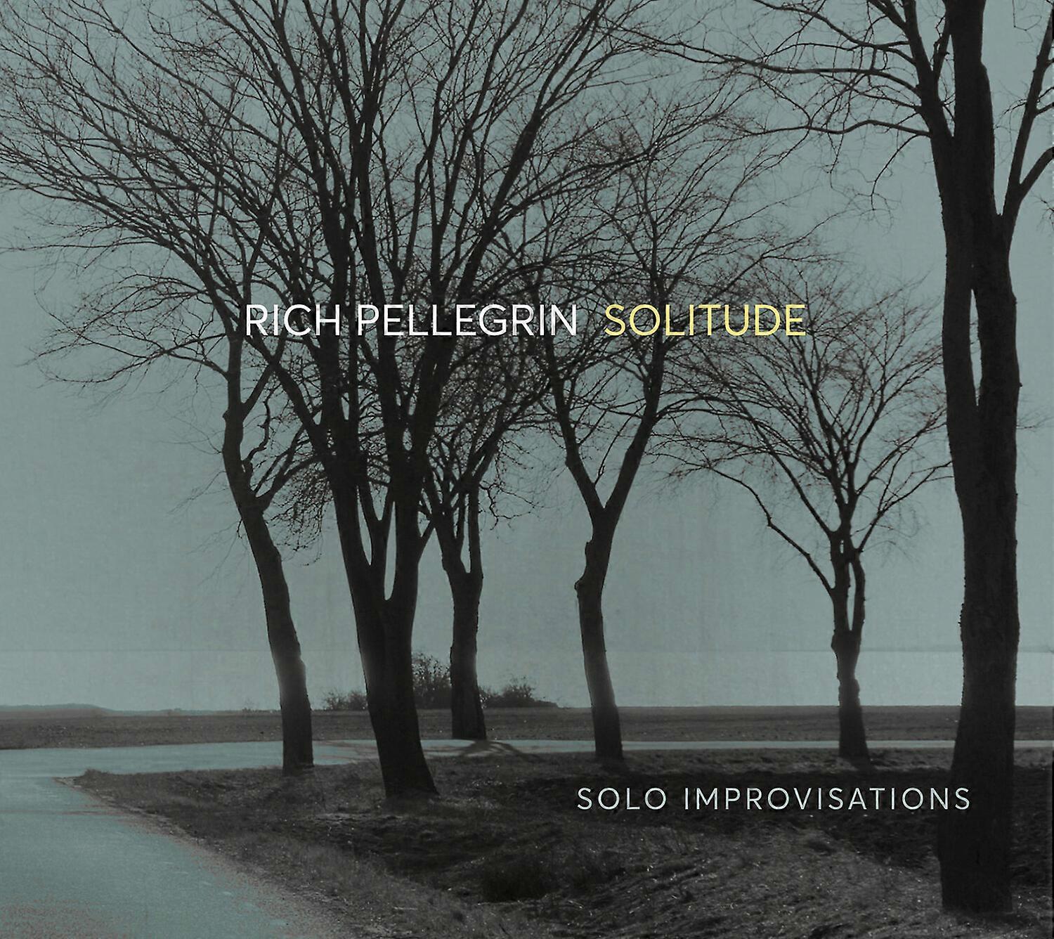 Rich Pellegrin - Solitude: Solo Improvisations  [COMPACT DISCS] USA import