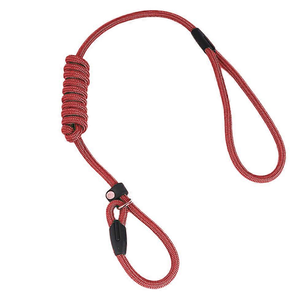 Dog Leash, Slip Leash, Training Leash