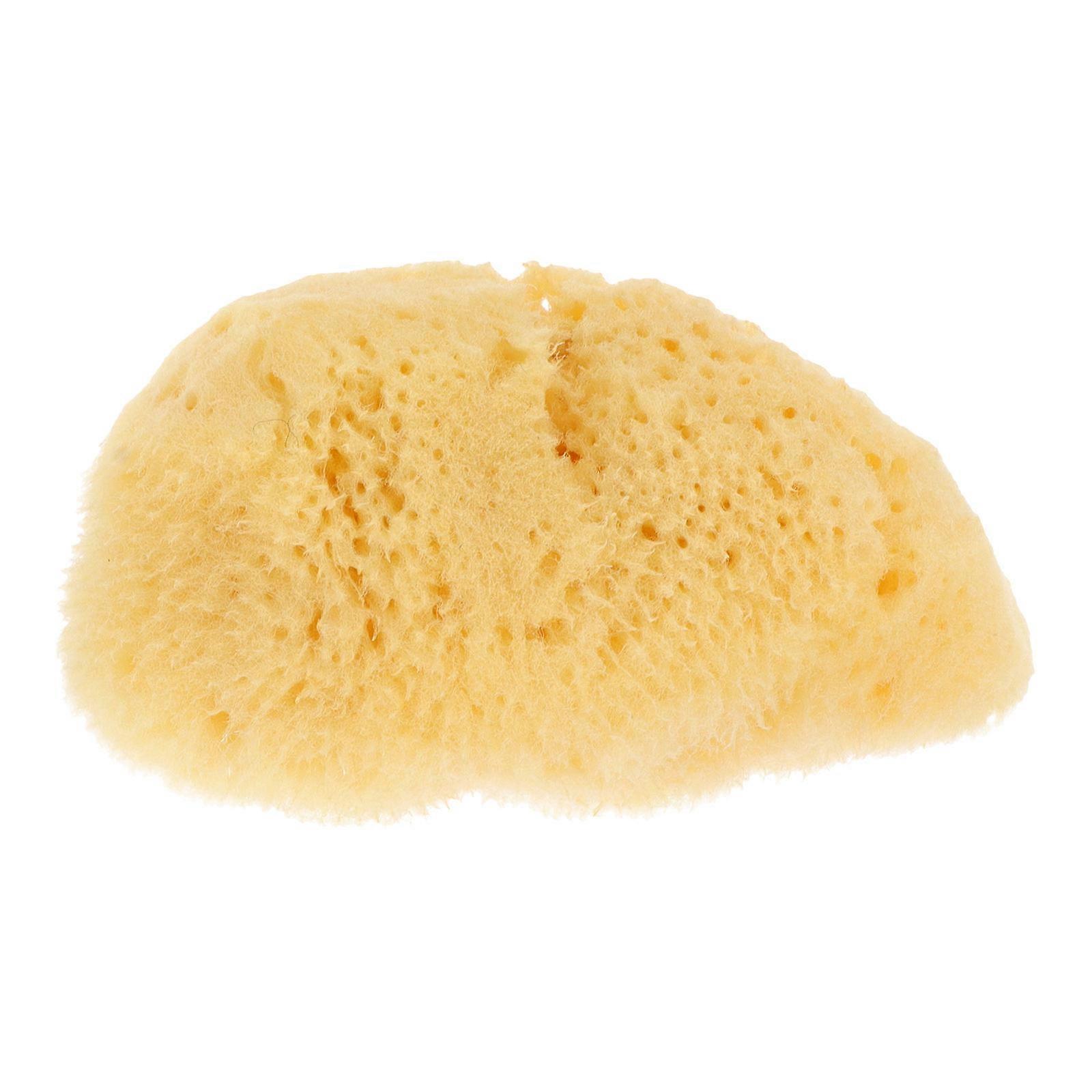 Texture Sea Sponge Natural Sponge Pad Art Tool For Children Other Places Random Shape 2.4×1.4×0.8in Color Absorption 1Set