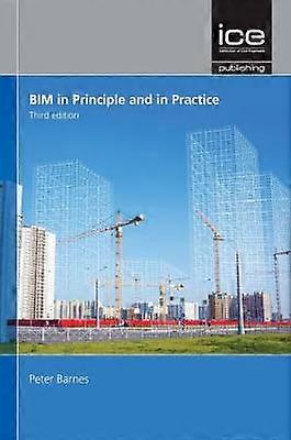 BIM in Principle and in Practice