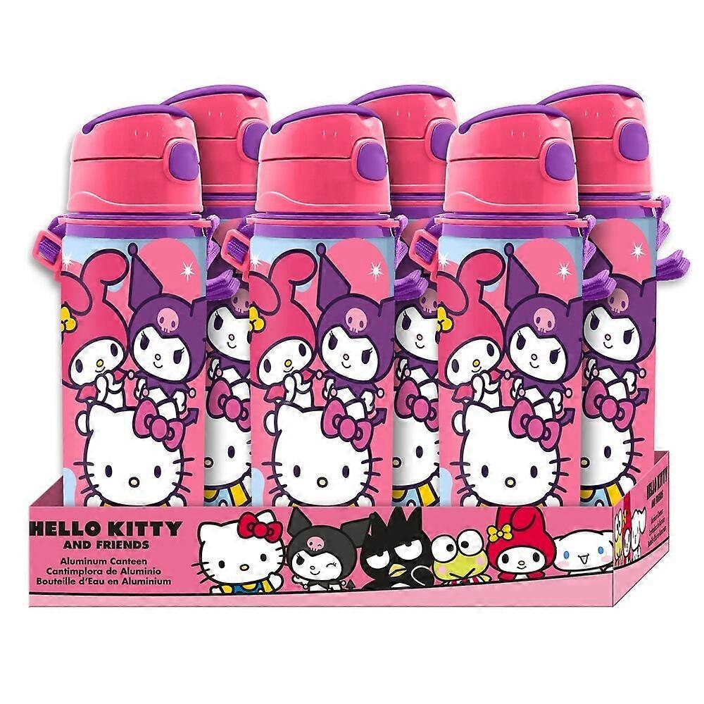 Hello Kitty aluminum water bottle, 600 ml capacity