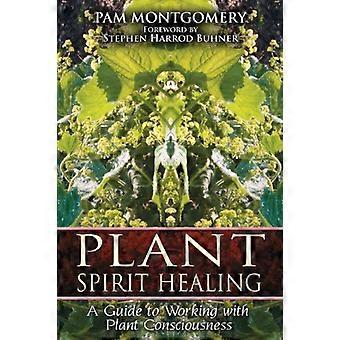 Plant Spirit Healing A Guide to Working with Plant Consciousness