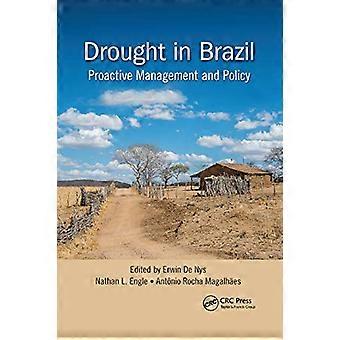 Dürre in Brasilien: Proaktives Management und Politik (Dürre und Wasserkrise)