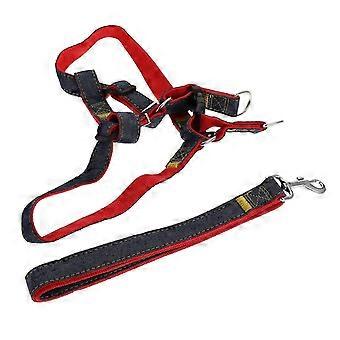 Durable Dog Vest Harness With Adjustable Leash Set Designed For Pet Owners 39X57CM Red Perfect For Walking And Running 1 Set