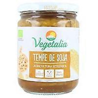 Tempe 380 g
