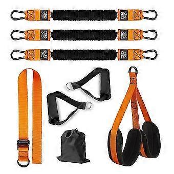 Bandes de traction réglables, support de résistance robuste pour l'entraînement physique à domicile, en latex, ABS et nylon durables. Idéales pour les séances de fitness à domicile.