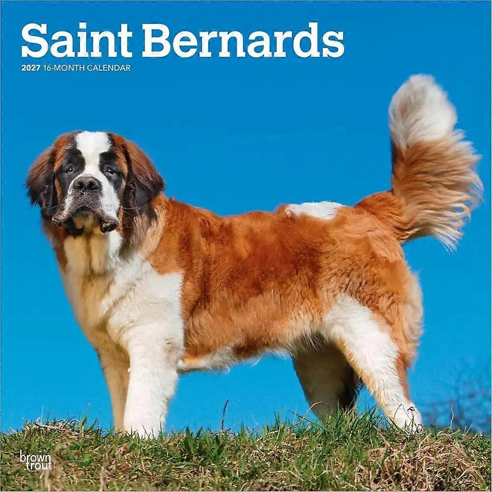 Browntrout Browntrout Saint Bernard Calendar 2026