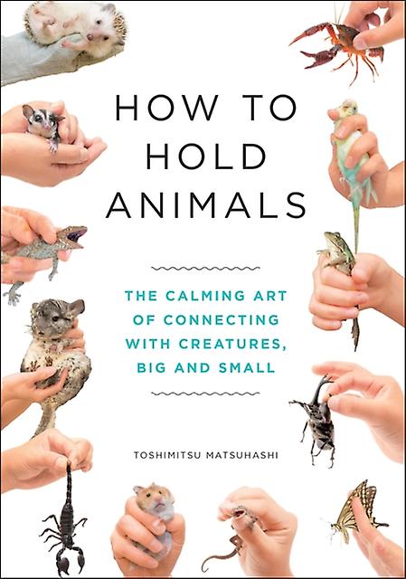 How To Hold Animals by Toshimitsu Matsuhashi Hardback Book