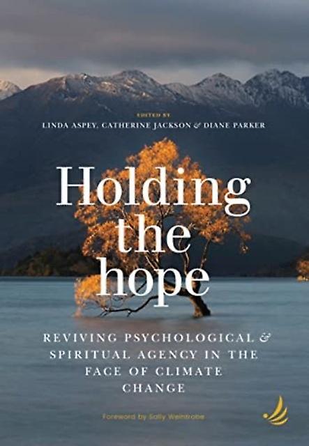 Holding The Hope by PCCS Books Paperback
