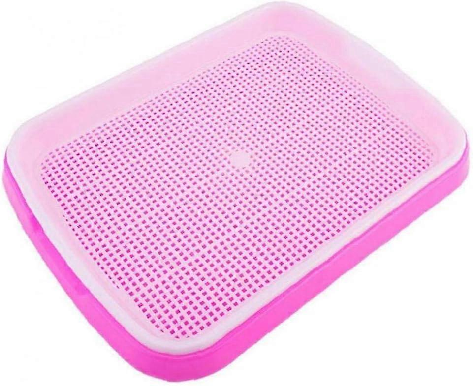 Seed Sprouter Tray Multifunction Germination Tray Sprout Maker For Rose Sprouted Seeds