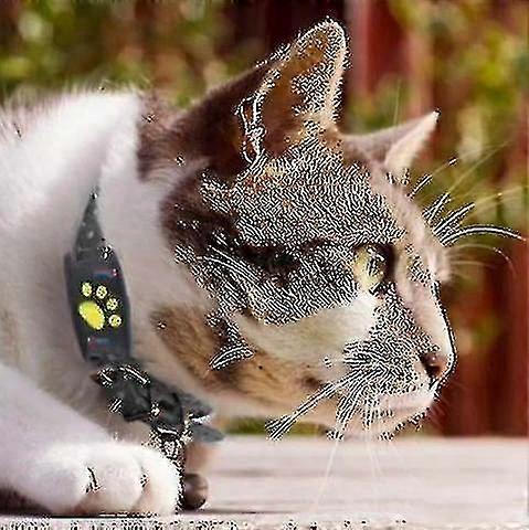 2023-smart Gps Cat And Dog Collar Tracker-fg