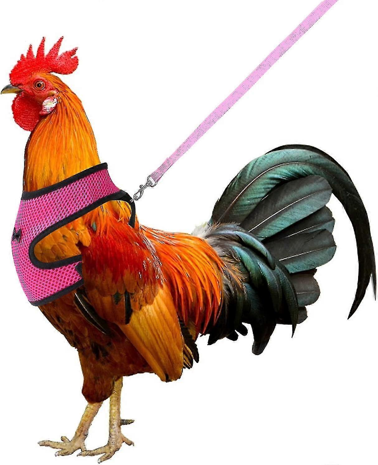Chicken Harness With Leash Adjustable Breathable Hen Dog Harness Medium (pink)