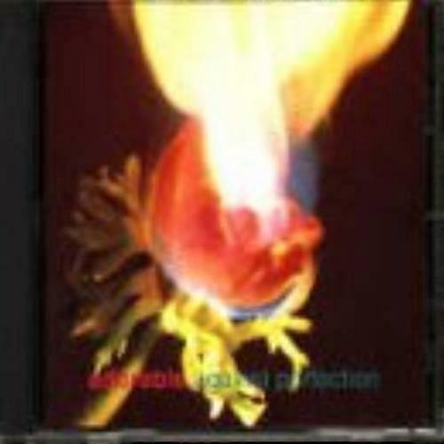 Adorable Against Perfection CD