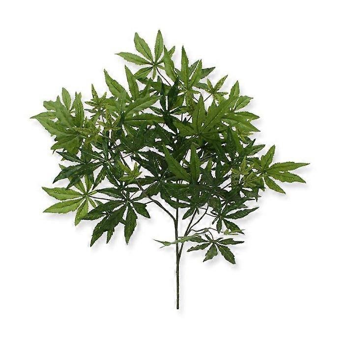 Maple Branch FR