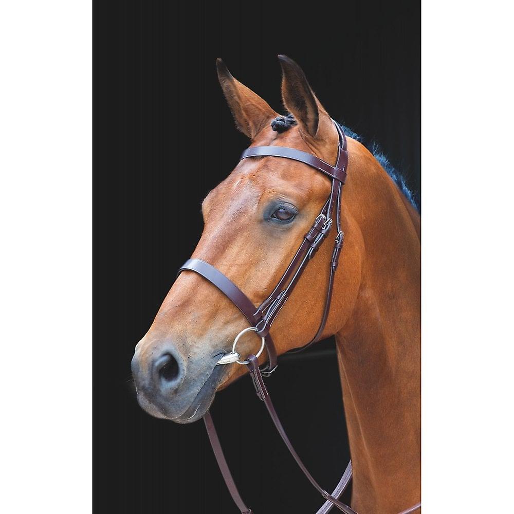 Shires Salisbury Berrington Bridle - Australian Nut