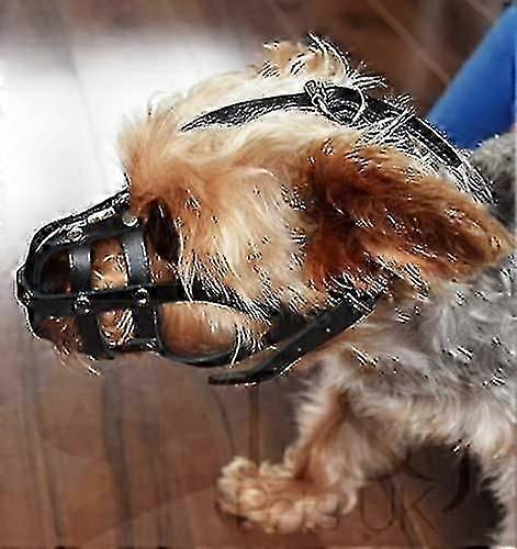 לוע כלב עור לצ'יוואווה, יורקשייר טרייר, מיני קנקן וכלבים קטנים אחרים