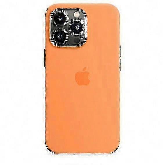 Silicone Case With Magsafe For Iphone 13 Pro Phone Case-bs