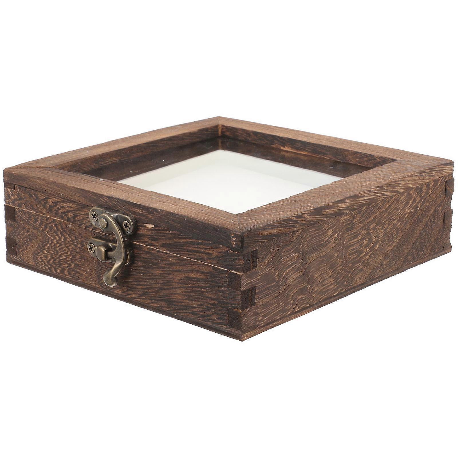 Insect Display Case Specimen Box for Showcase 1Set