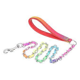Convenient Puppy Leash Wear-Resistant Chain Leash for Dog Accessory