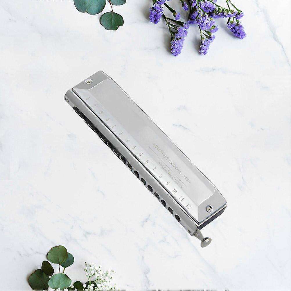 Harmonica for Beginners 16 Hole Harmonica for Playing Music 3Pcs