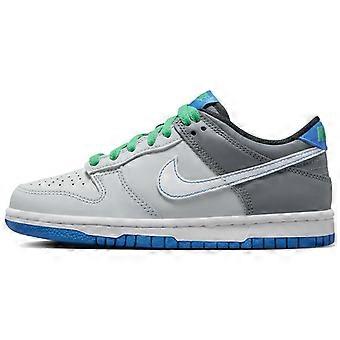 Nike Dunk Low Pure Platinum Photo Blue GS DH9765-004