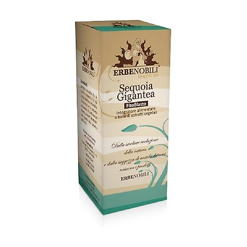 sequoia - sequoia 50 ml