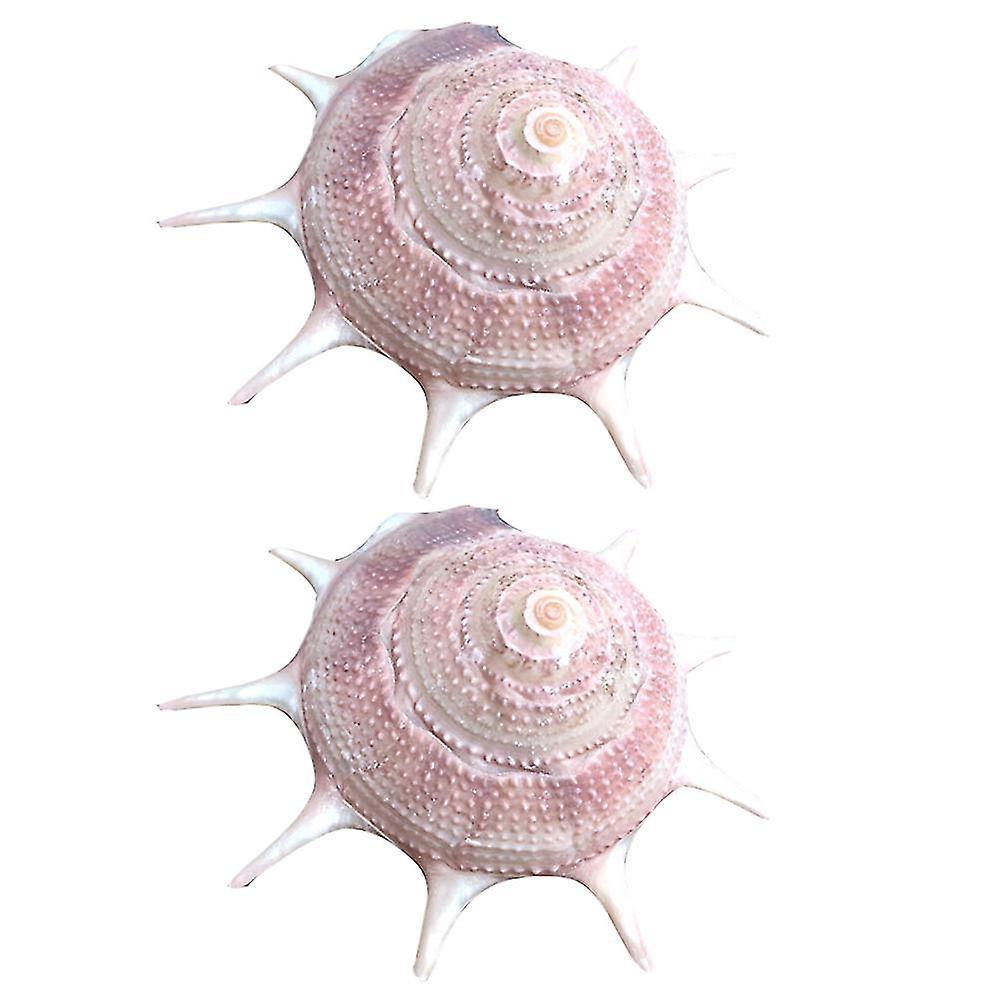 2pcs Aquarium Hideaway Aquarium Star Shell Muffin Snail Shells Conch Shell Decor