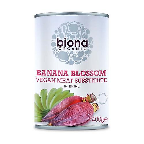 Banana Flower in Salt Water 400 g