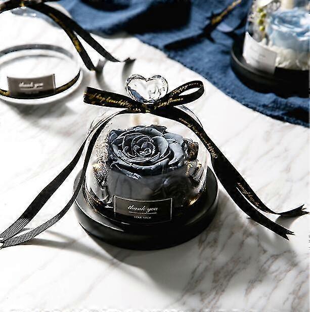 S Day In Glass With S