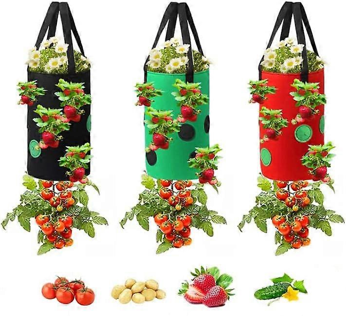 3pcs 3 Gallon Strawberry Grow Bags