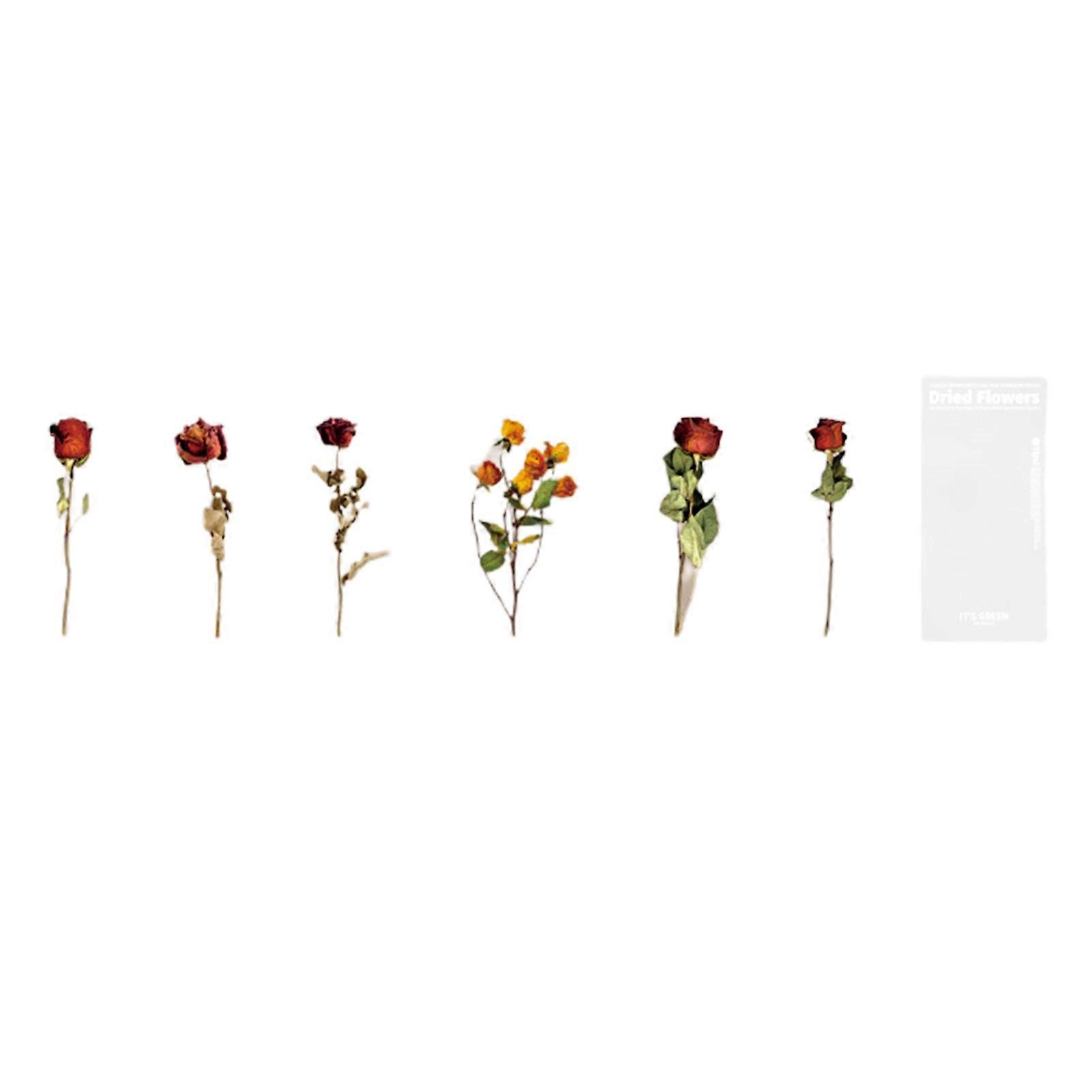 6 Sheet Album Sticker Dried Flowers Plants Pattern DIY Crafts Accessories PET Wall Art Scrapbooking Decal for Books mengxi