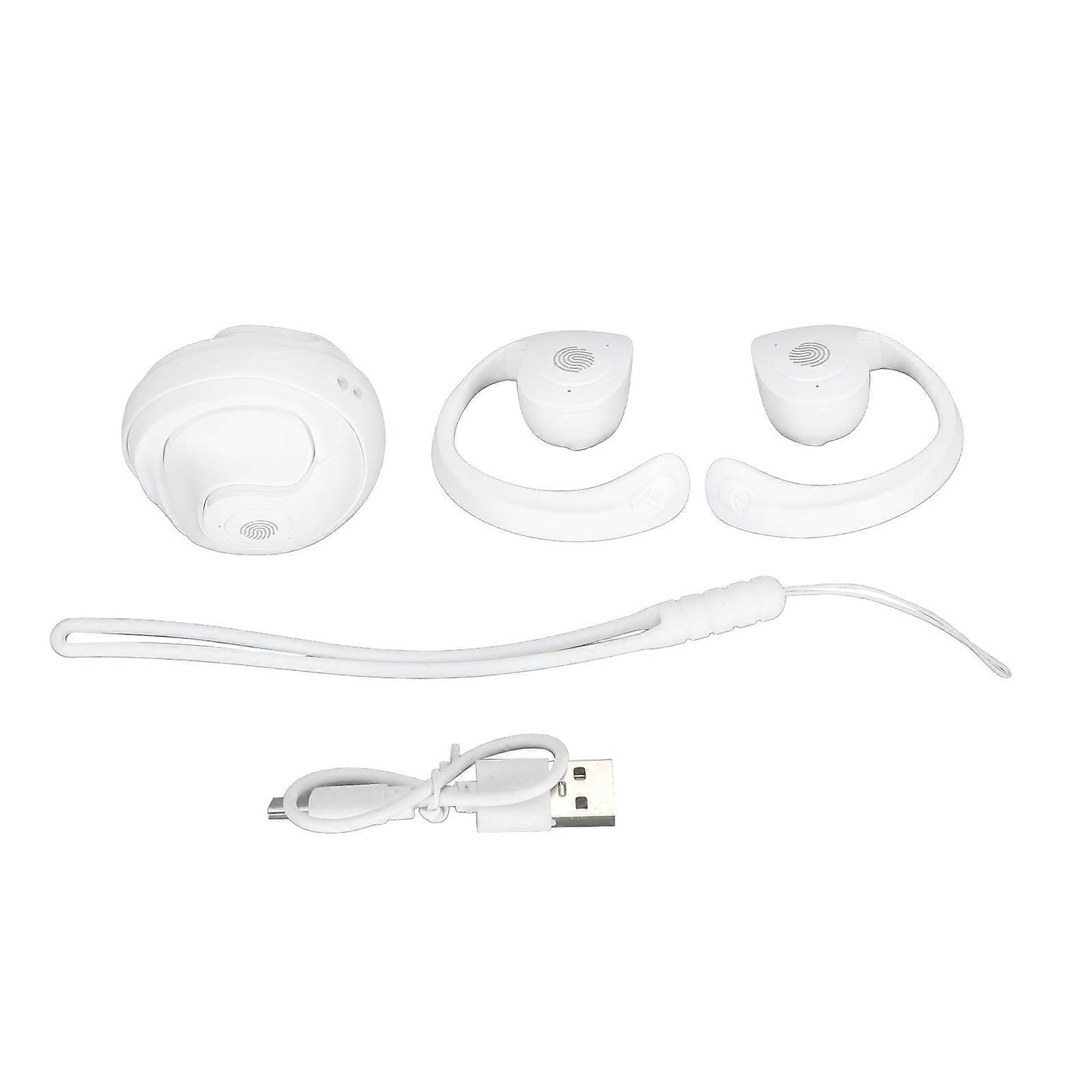 Bluetooth 5.3 Language Translator Earhooks - 144 Languages, Music & Calls, White