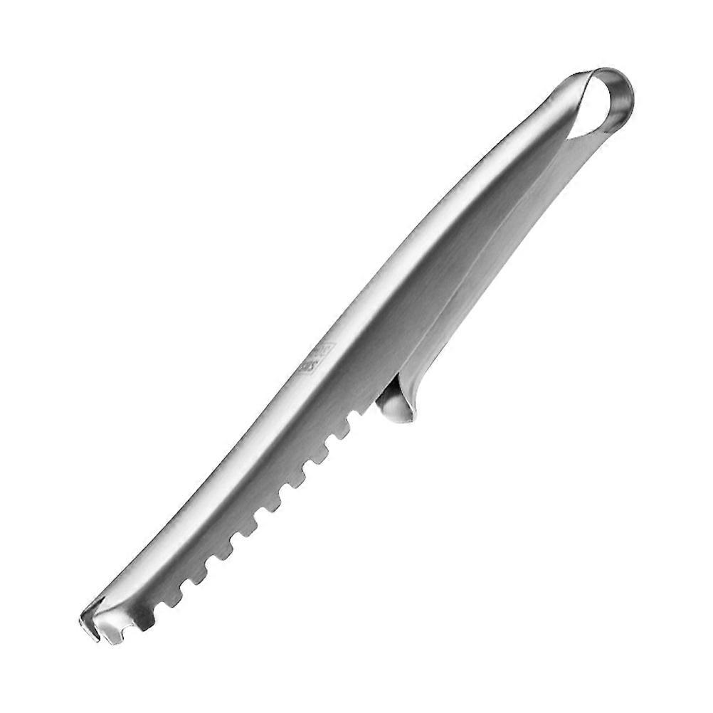 Manual Fish Scraping Tool Scale Removal Kitchen Hanging Silver Flat 1Set