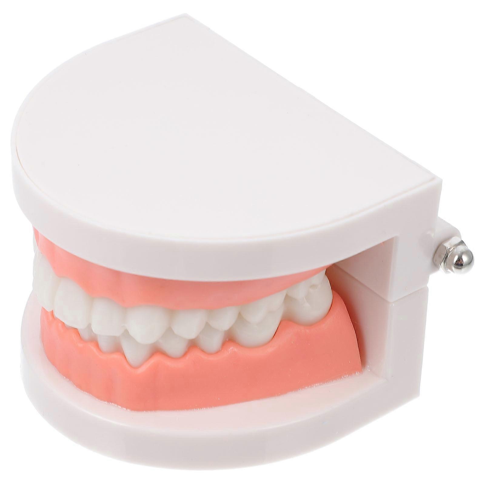Model Transparent Tooth Anatomy Molar Model Classroom Teaching Epoxy Resin 8.00X7.50X5.50Cm 1Pc