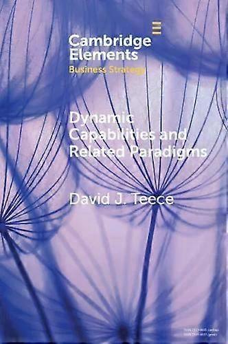 Dynamic Capabilities And Related Paradigms - David J. Teece