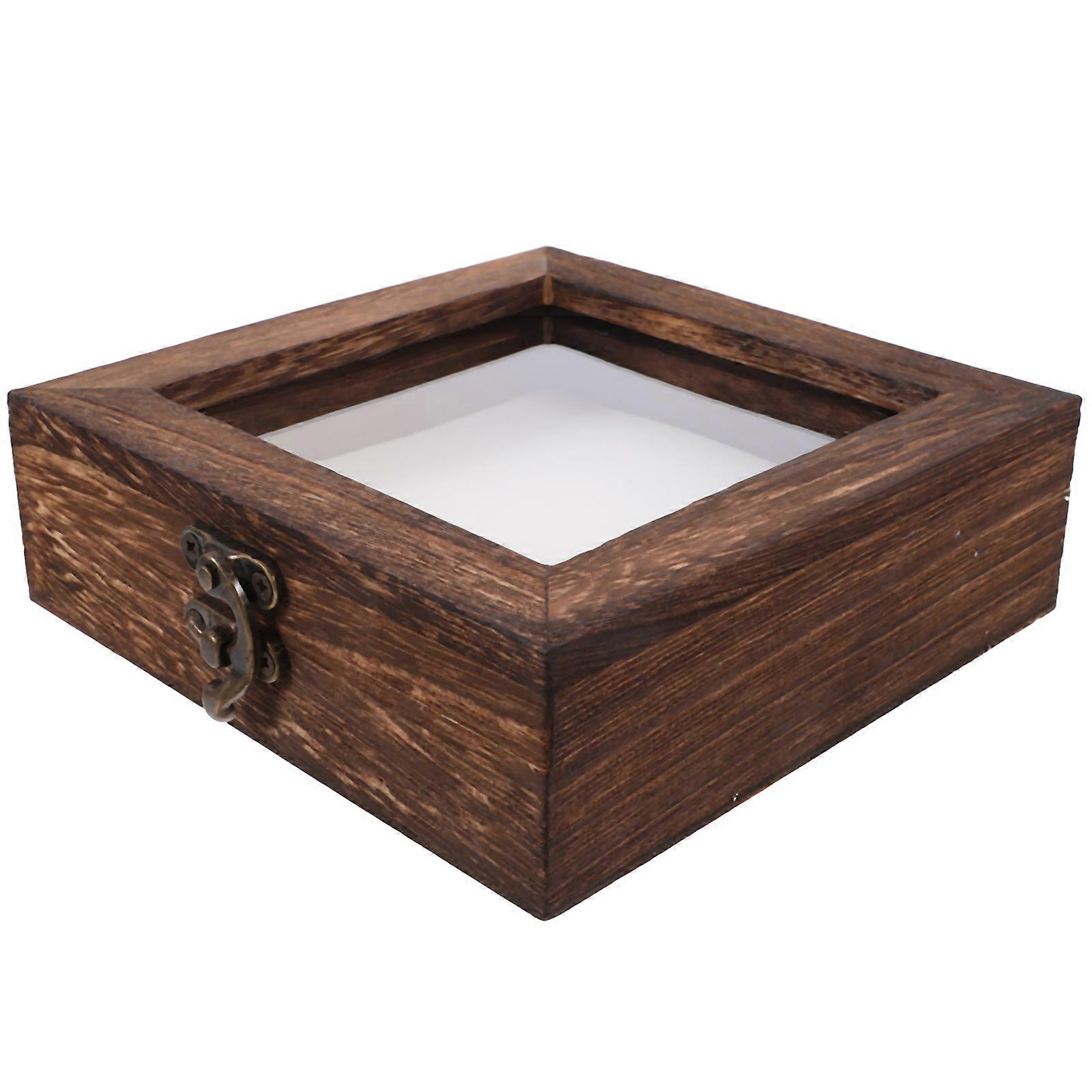 Butterfly Display Case Insect Display Box for Preservation with Stabilization Kit