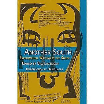 Another South Experimental Writing in the South