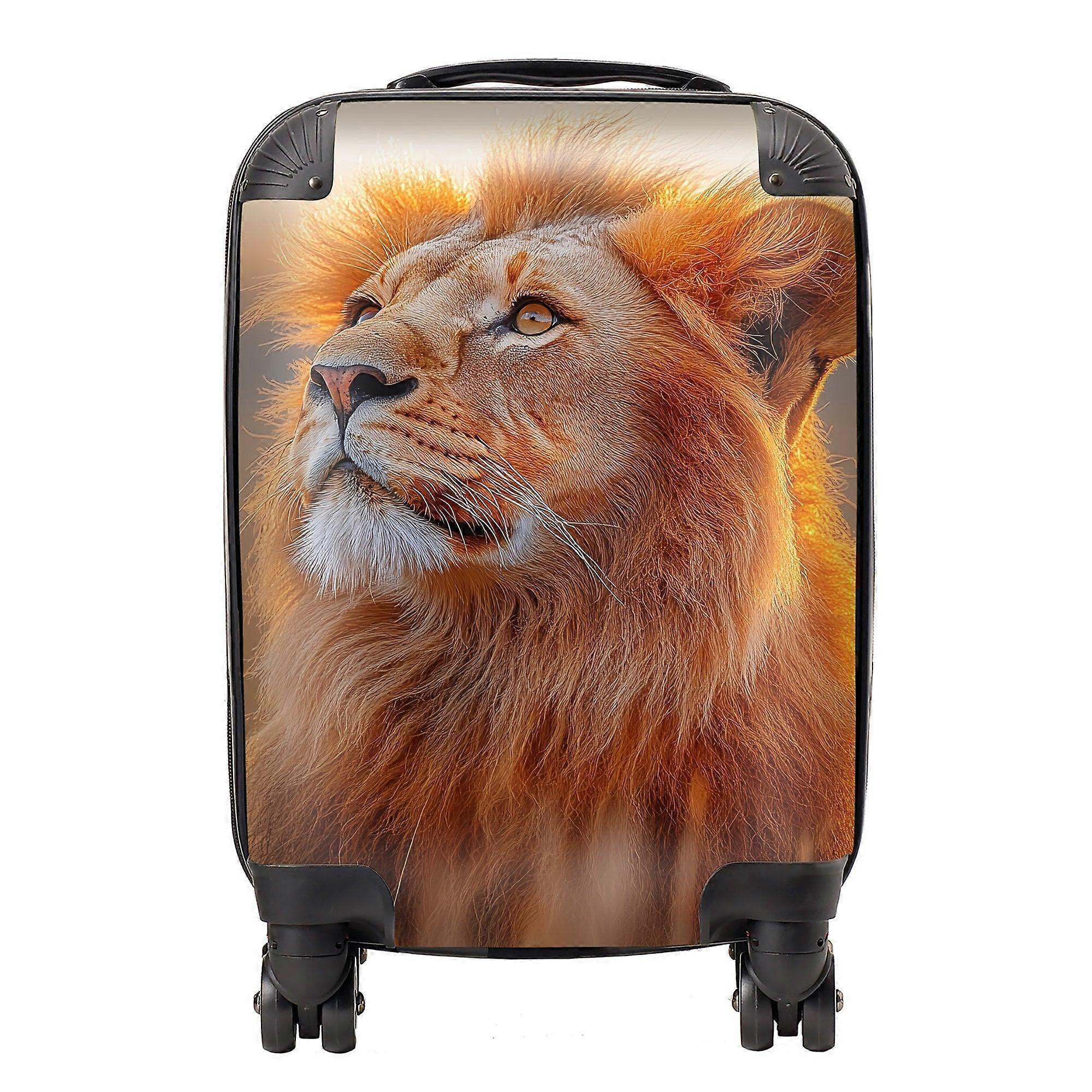 Finn Wilder: 00031 Suitcase