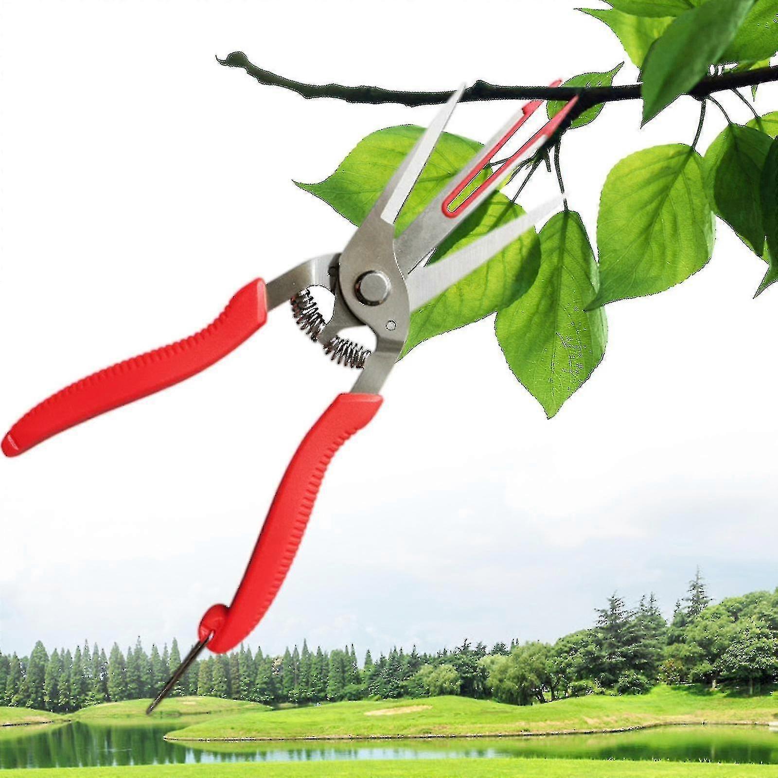 Double-edged Apple Picking Scissors Yangjiang Kiwi Pear Thinning Scissors