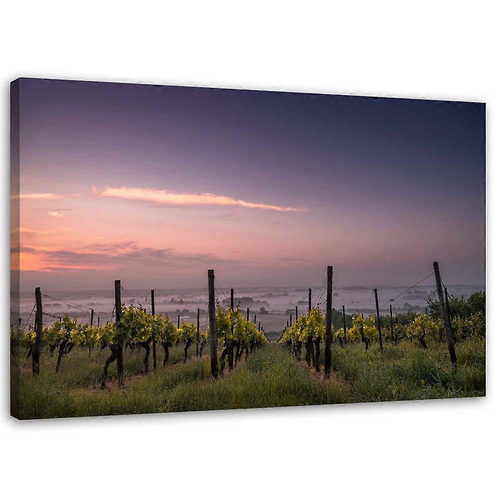 Quadro su tela, Uva in crescita - 90x60