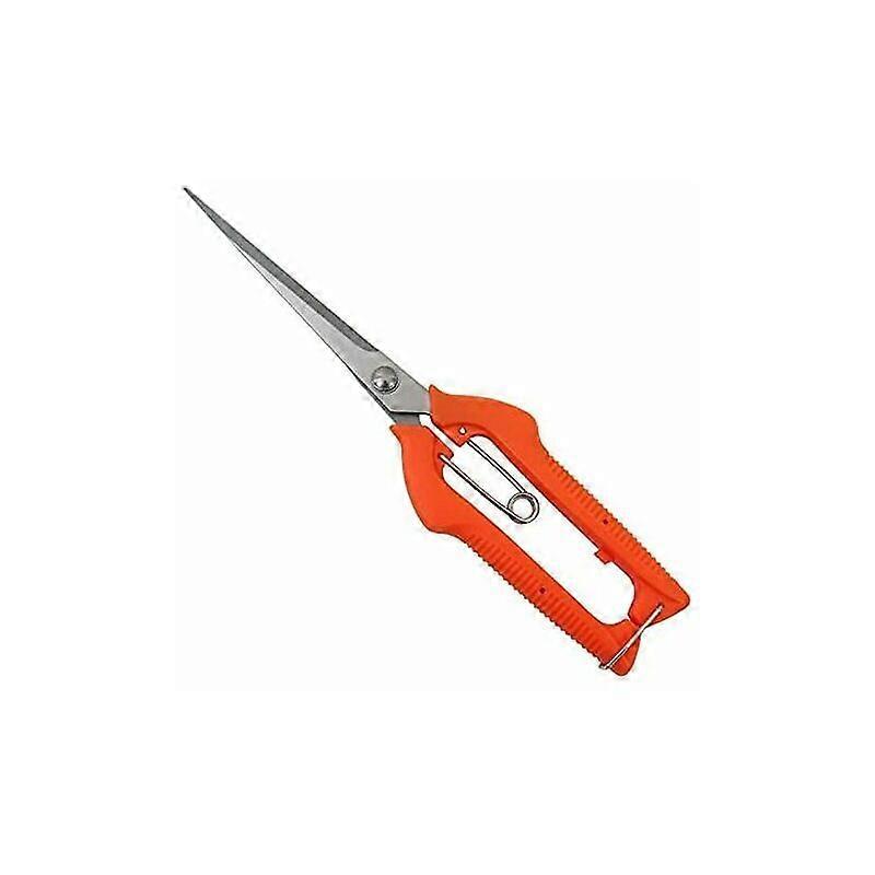 Extended fruit picking shears Gardening shears