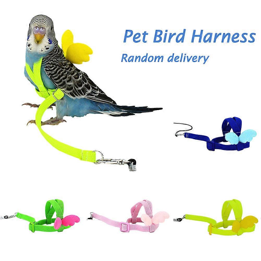 Pet Parrot Traction Strap Bird Harness Leash Flying Ropes Belts Outdoor Training Ropes for Budgerigar Lovebird Cockatiel Lizard